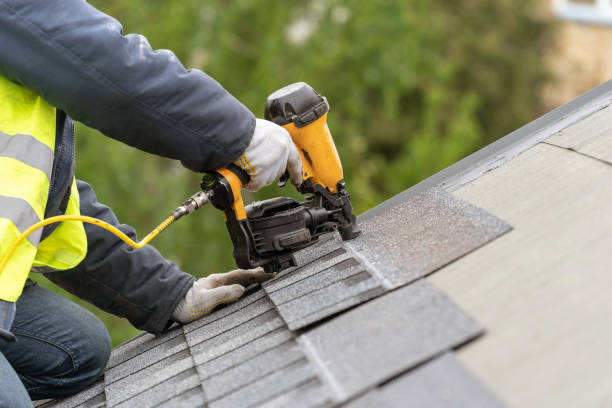 Best Roof Ventilation Installation  in Woodsi East, DE